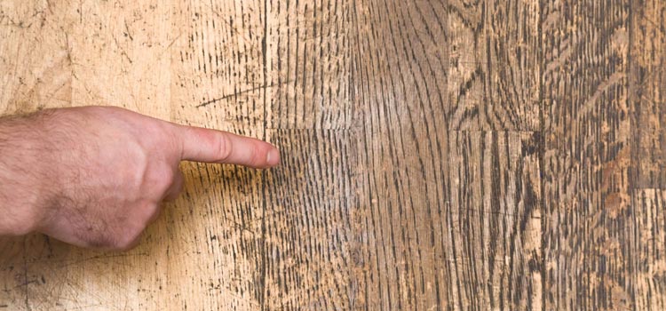 Wood Door Scratch Repair in Charter Oak